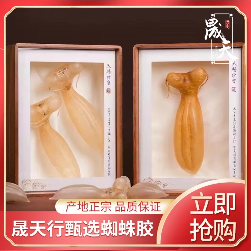 晟天蜘蛛公胶蜘蛛母胶鱼胶干货生鲜