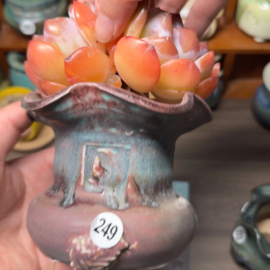 红陶20CM（含）-50CM（不含）花盆