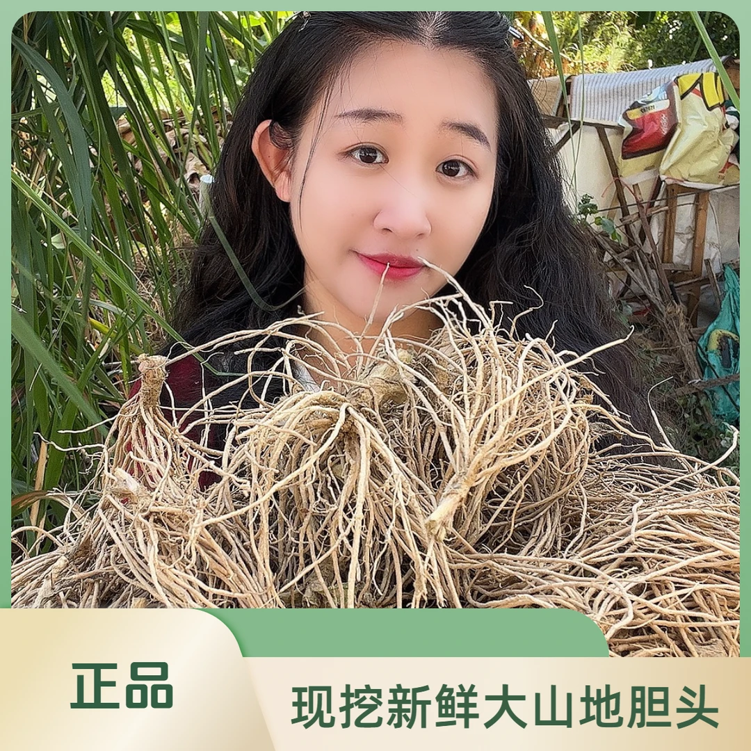 深山现挖新鲜地胆头