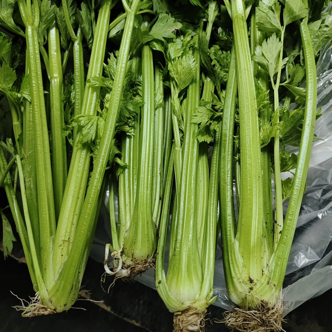 京平农庄 芹菜 原生态种植  老品种 老味道
