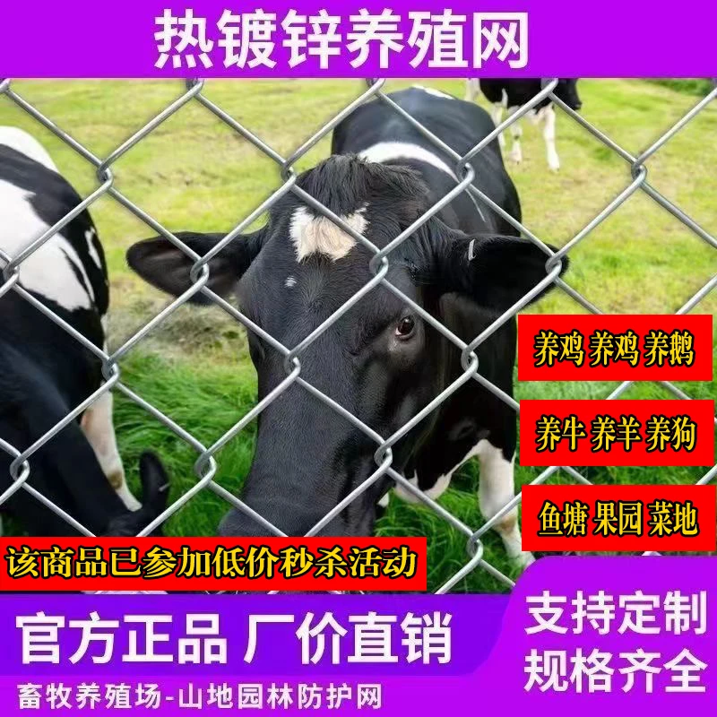 热镀锌铁丝网围栏户外养殖防护网养鸡养狗不生锈勾花网护栏隔离网