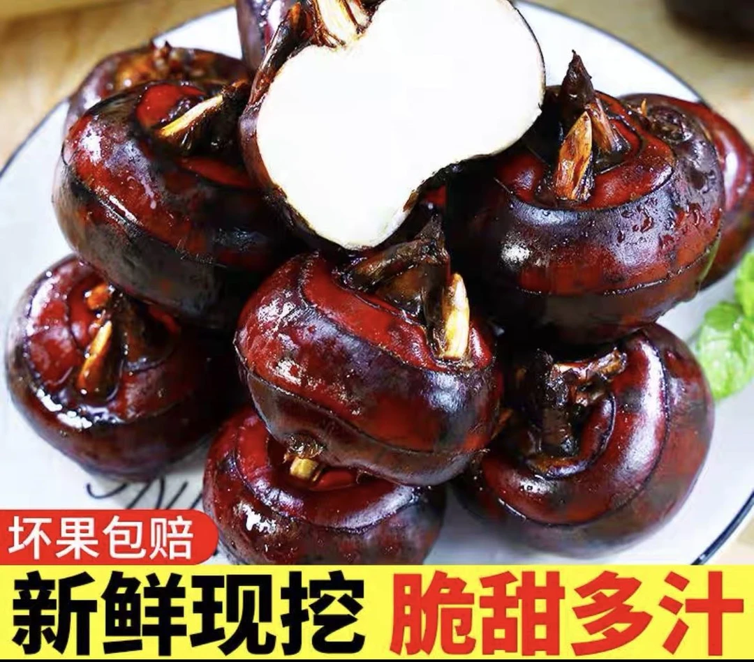 湖北新鲜红果马蹄脆甜多汁带点泥巴发货5斤荸荠当季水果煲汤马蹄