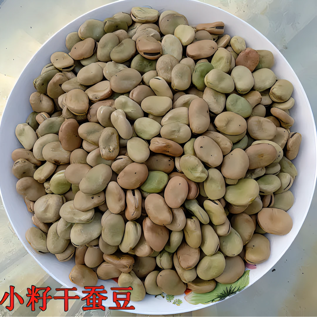 湖北小籽干豌豆农家小豌豆土蚕豆生枯豌豆2025年新鲜晾晒500g/包