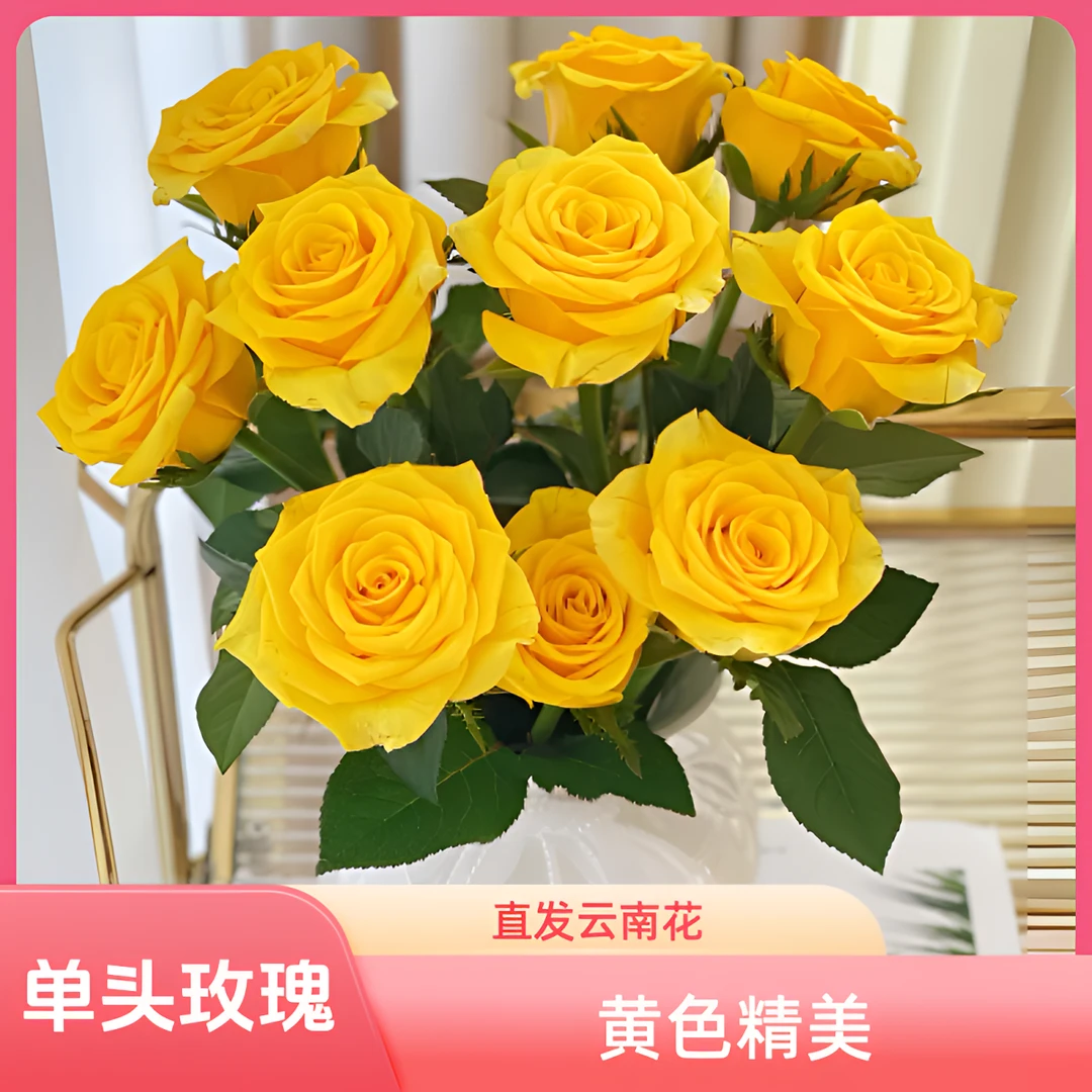 【馨之艺花卉】契机单头玫瑰小而精致螺旋花型明亮黄色云南鲜花直发