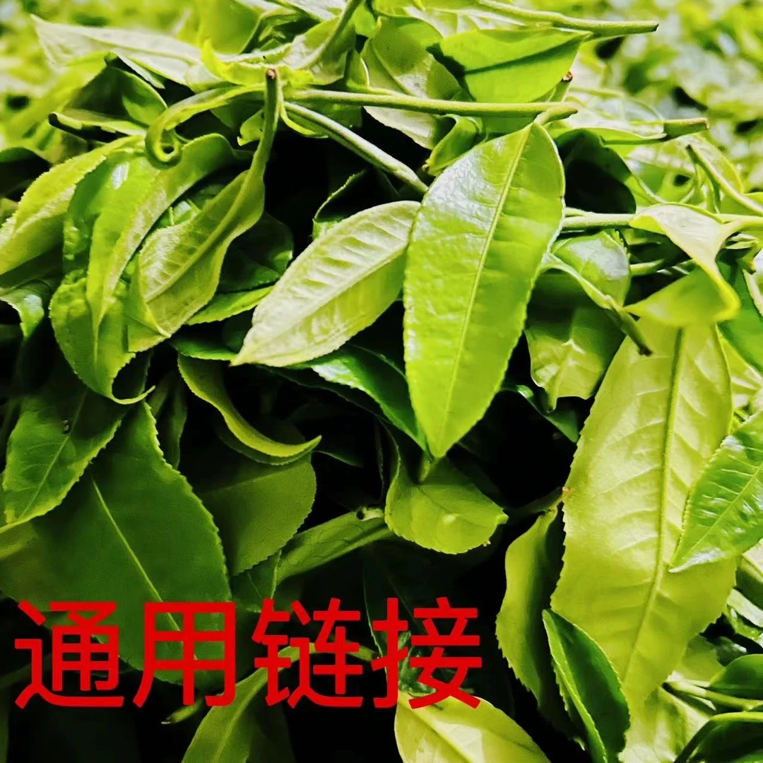 四月 2023年冰岛老寨特大叶种头春生茶散料