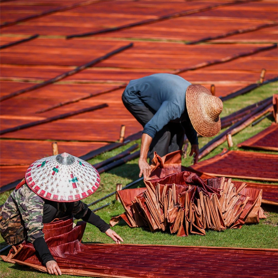 3号【专拍链接 】桑蚕丝真丝面料 一经裁剪不支持退换
