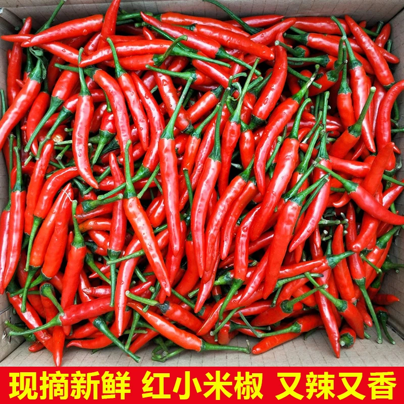 新鲜小米椒特辣小米辣朝天椒红辣椒指天椒红辣椒产地直发1-9斤