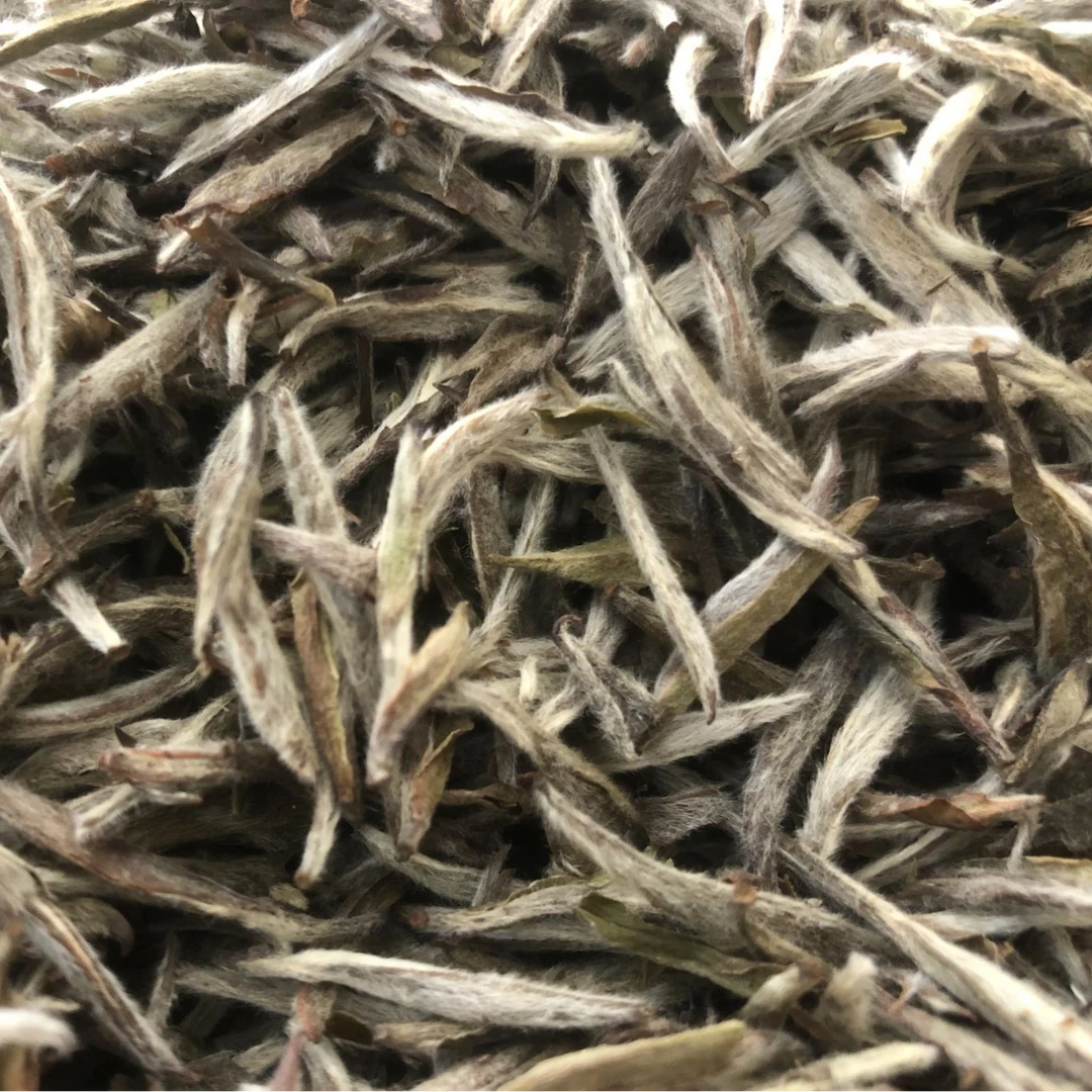 福鼎白茶正宗核心产区管阳高山原料2017年白毫银针毫香蜜韵