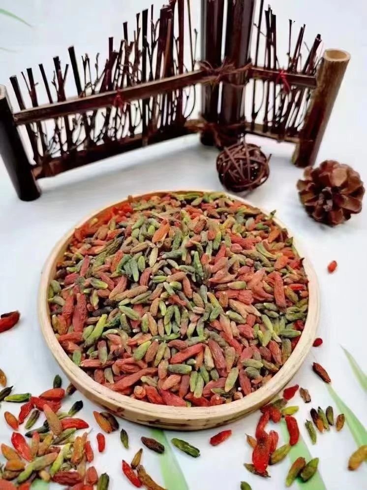 长白山 枸杞子 红绿枸杞