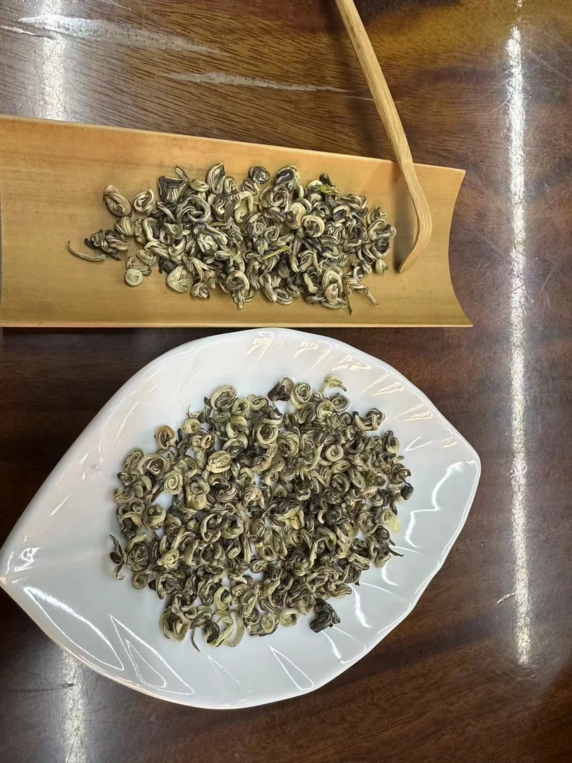 （自产自销）2023年茉莉花茶三窨玉螺浓香型好喝耐泡分别250g/500g