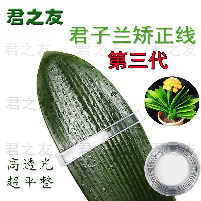 君子兰叶片矫正器 矫正器整形君子兰矫正器君子兰矫正线