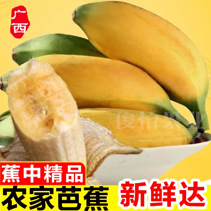 G广西农家大芭蕉产地当季新鲜水果批发牛角蕉大香蕉粉蕉1/5/10斤