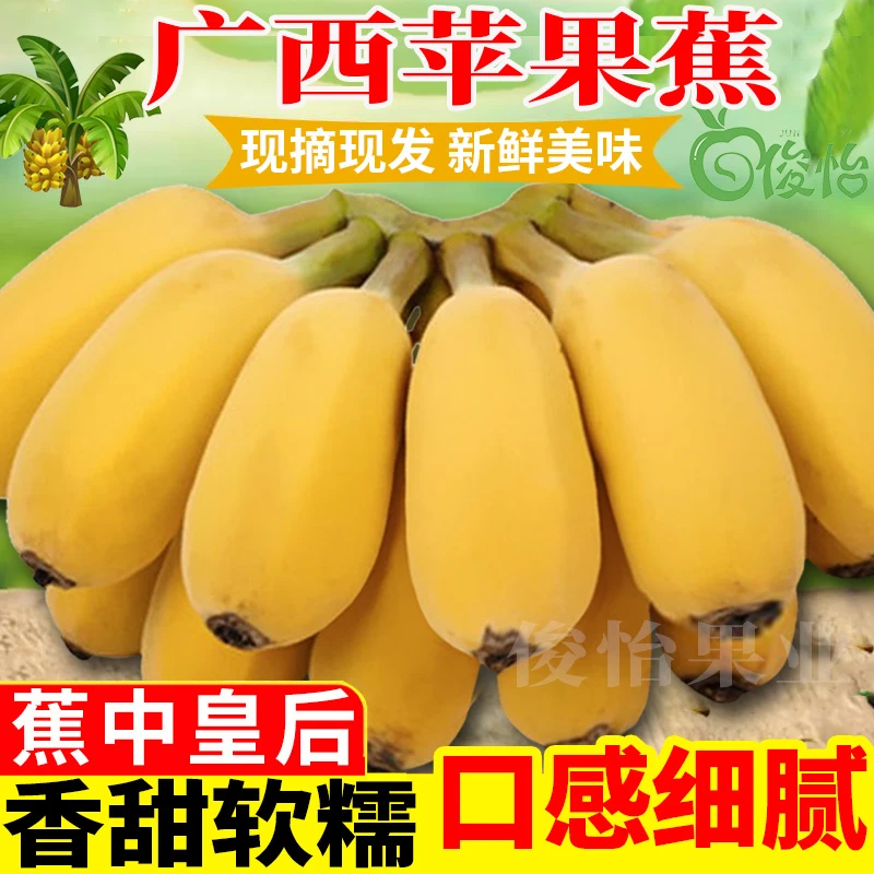 【粉丝福利】广西苹果蕉自然成熟产地发新鲜香蕉水果1/3/5/10斤批发