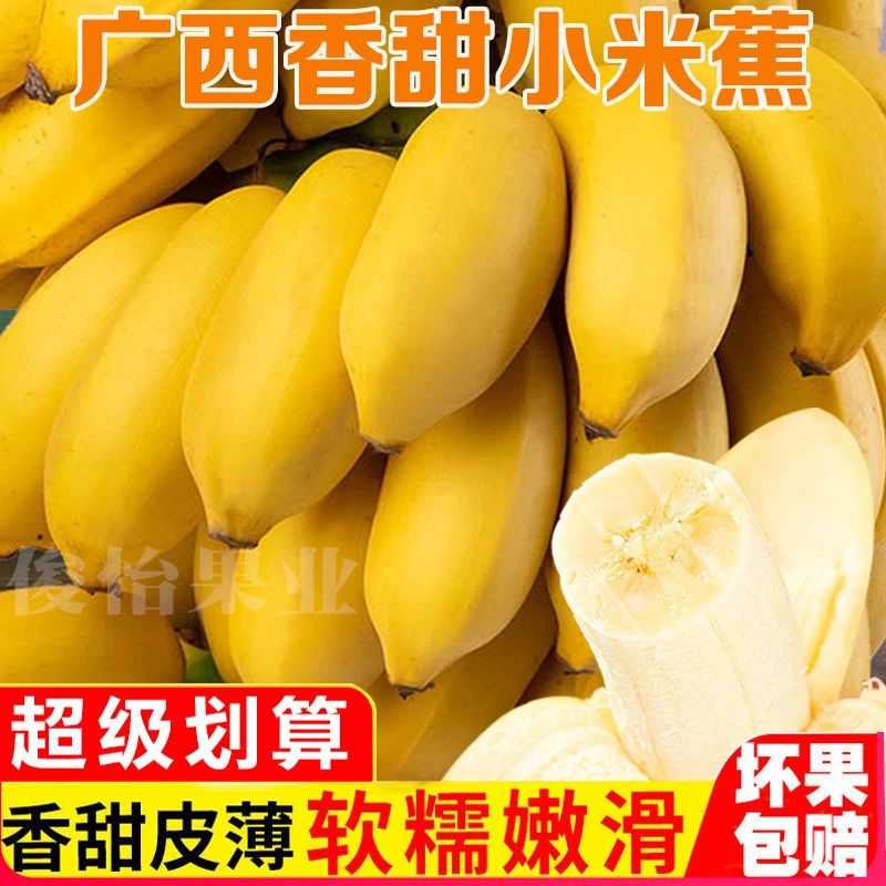 【点关注立减G】广西香甜小米蕉香甜软糯新鲜水果皇帝蕉1/5/10斤