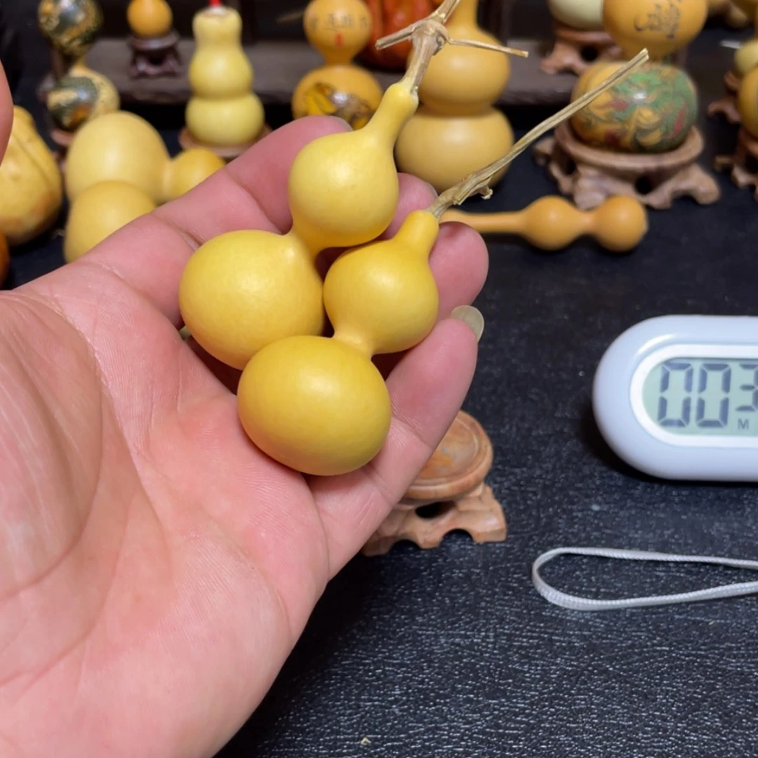 【闪购商品】天然葫芦豆**豆