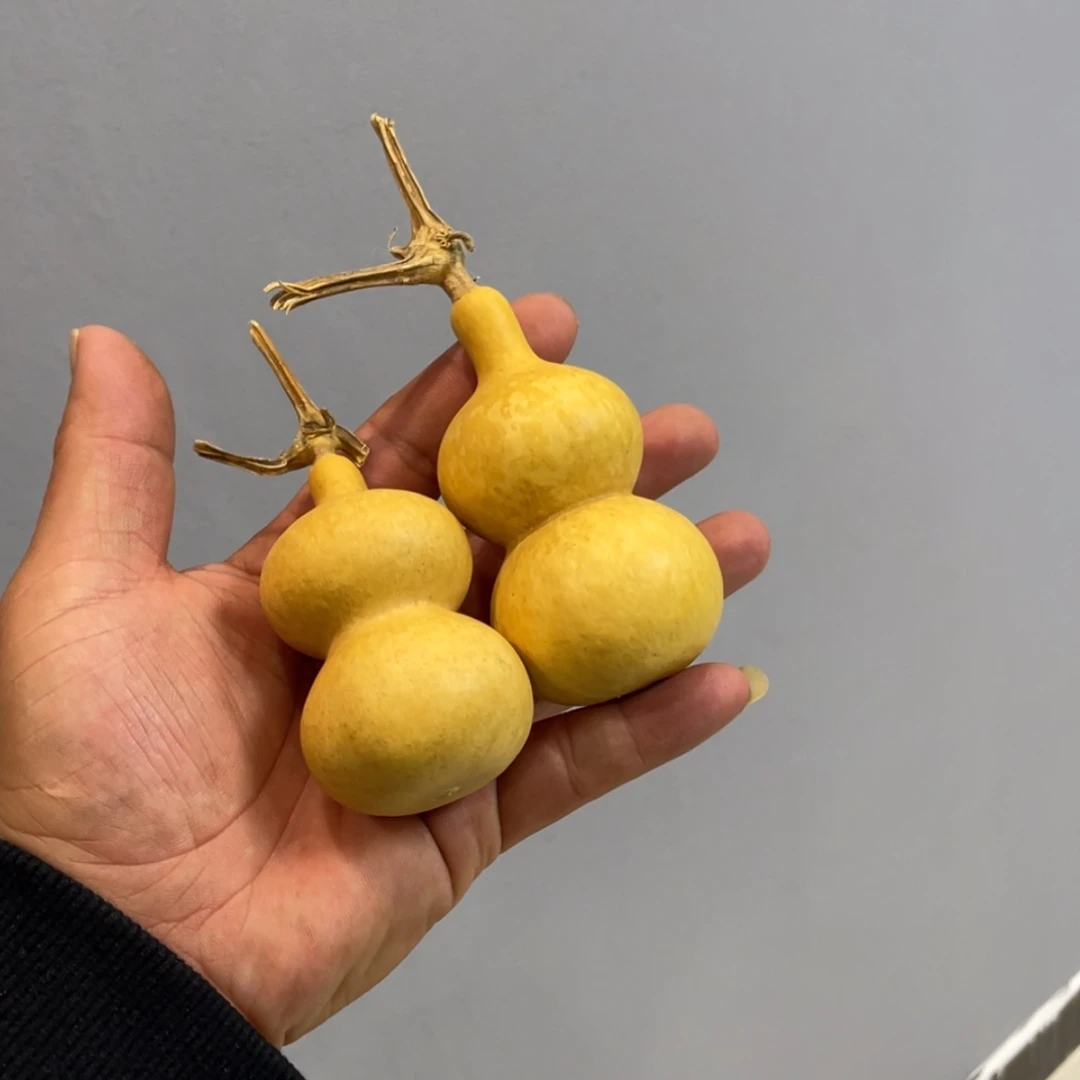 【闪购商品】天然葫芦山*