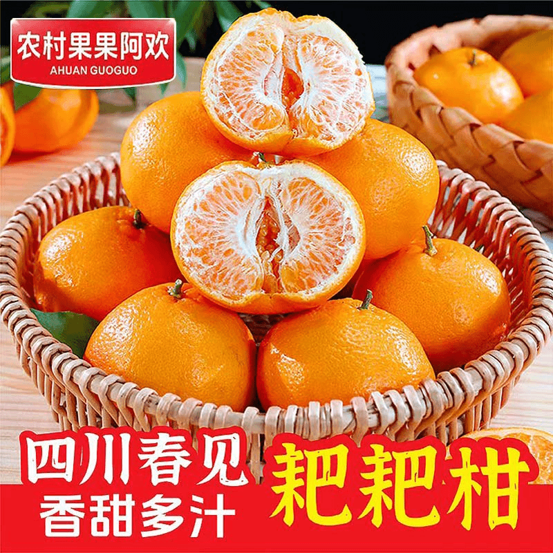 四川春见耙耙柑8斤