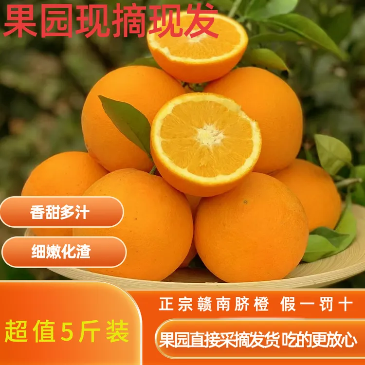【正宗赣南脐橙】5斤装现摘现发新鲜水果香甜多汁果园采摘产地直发