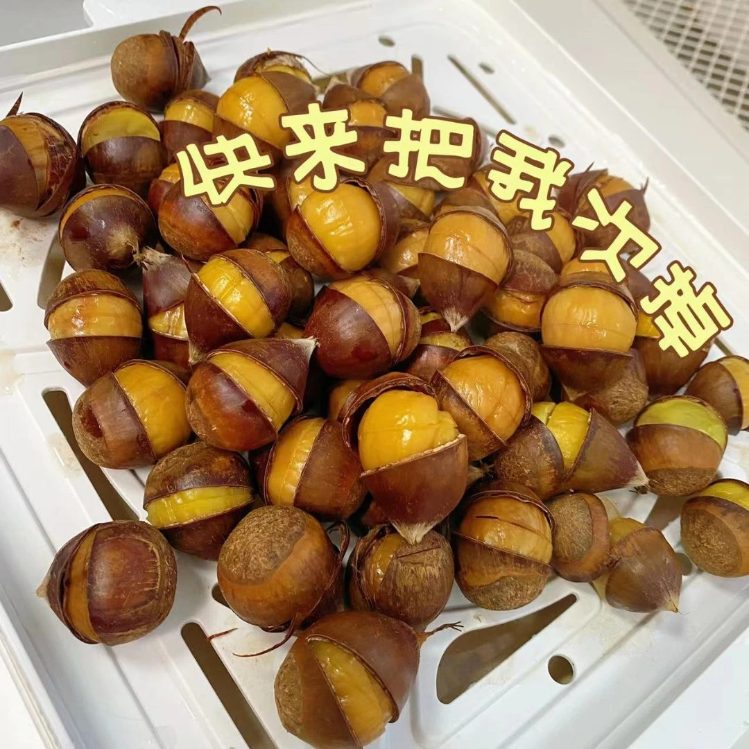 新鲜现蒸-（250g）高山米锥栗（熟食）好吃不上火