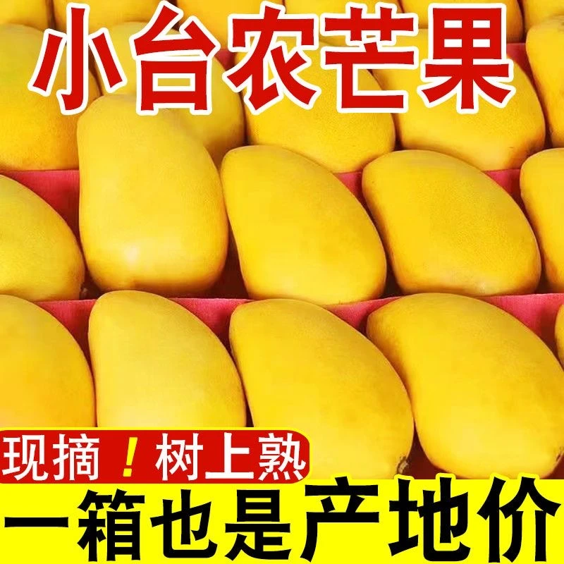 海南小台农芒果新鲜应季台农芒整箱大果孕妇水果3-10斤薄核