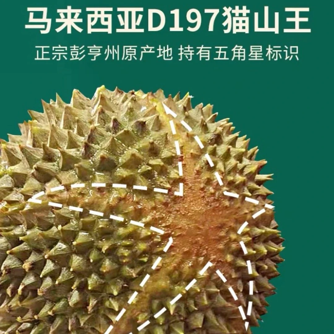 精选D197猫山王榴莲马来西亚猫山王液氮冷冻榴莲当季新果香糯饱满