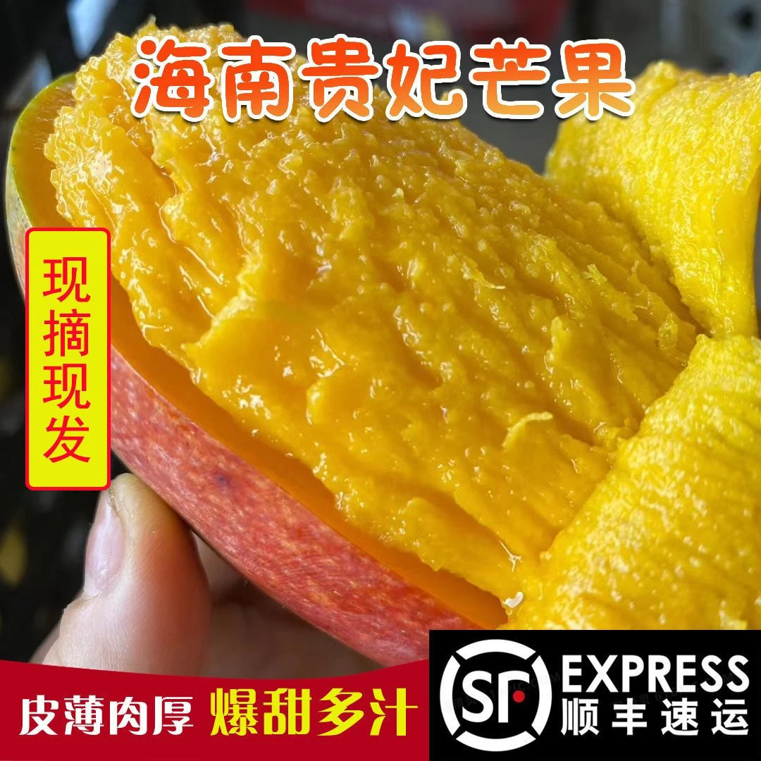 【老树贵妃】海南鲜美贵妃芒果现摘现发香甜5斤(放软食用)多汁新鲜