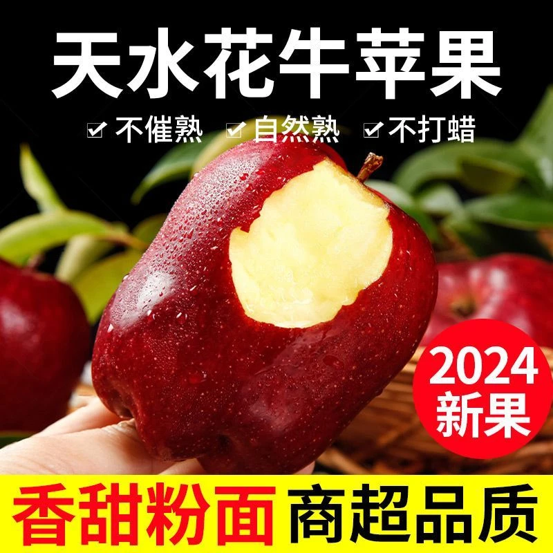 正宗甘肃天水花牛苹果越放越面好吃产地粉糯松脆香甜细腻多