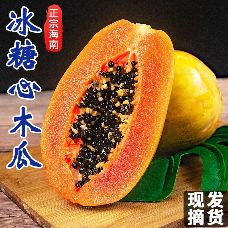 海南树熟红心木瓜/雷州牛奶木瓜5斤/9斤现摘现发青木瓜皮薄香甜
