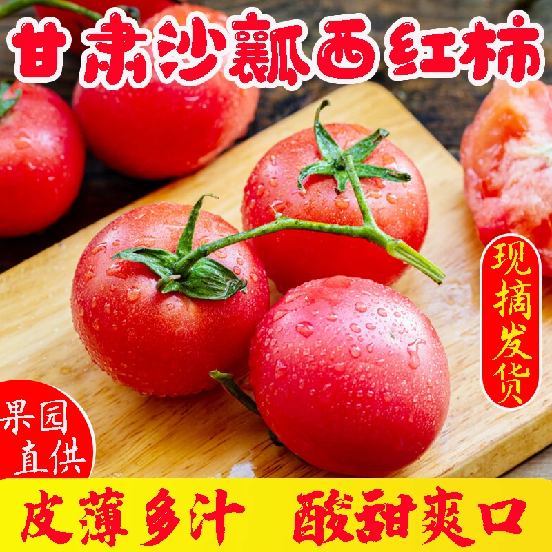 正宗甘肃民勤沙瓤西红柿/普罗旺斯番茄/西红柿小时候的味道5斤