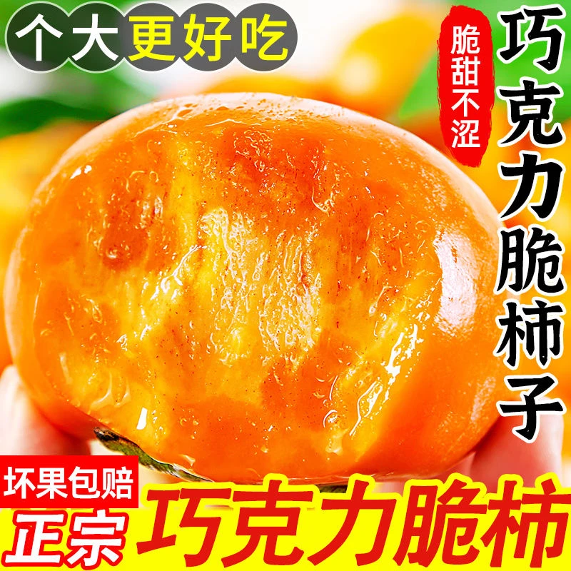 云南高原巧克力脆柿新鲜现摘柿子糖心巧克力柿子脆甜多汁皮薄好吃