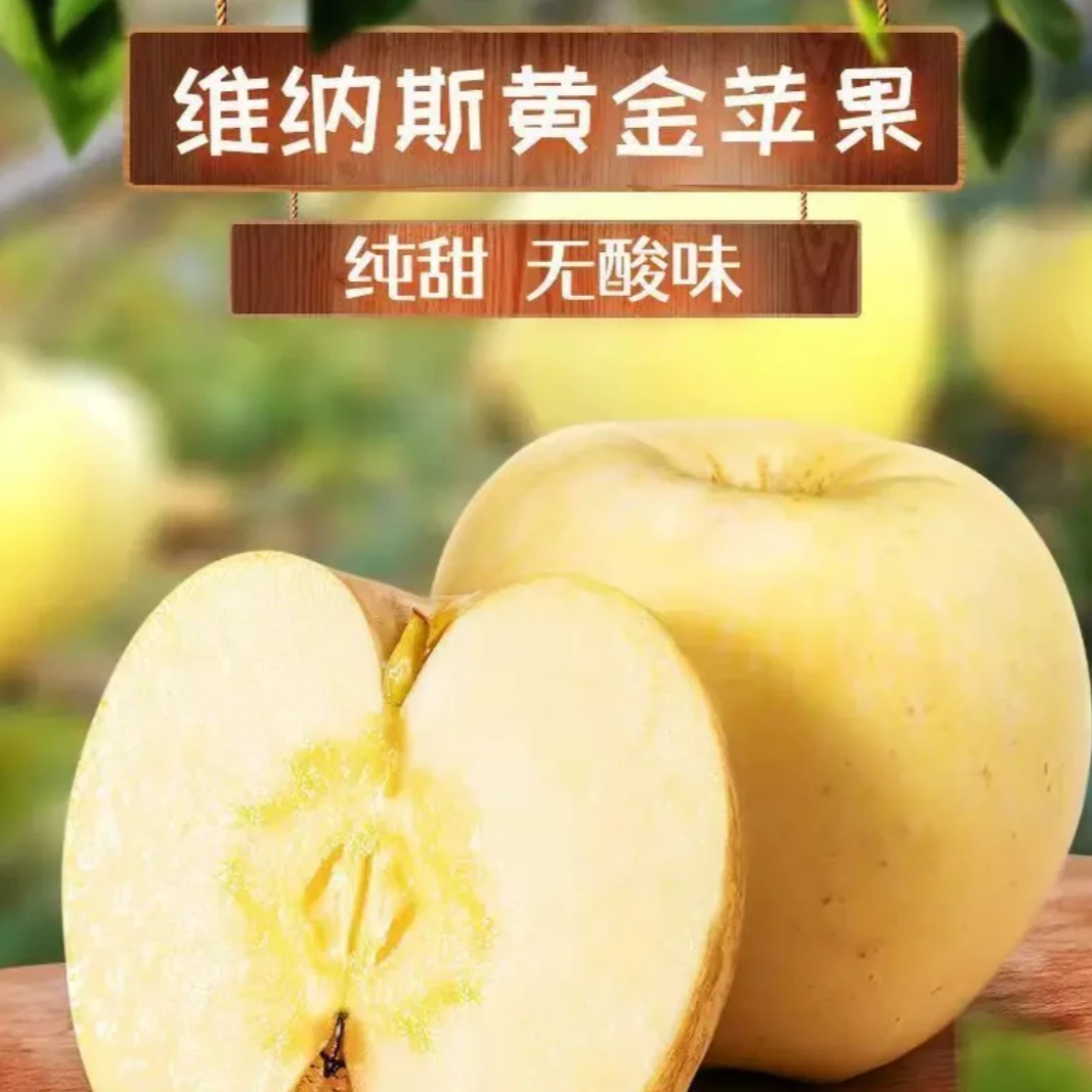 【高端苹果】真黄金维纳斯苹果脆甜多汁果香浓郁冰糖心应季新鲜水果