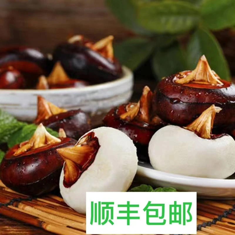 广西马蹄（ 荸荠）现挖现发5斤顺丰包邮农产品马蹄马蹄荸荠荸荠