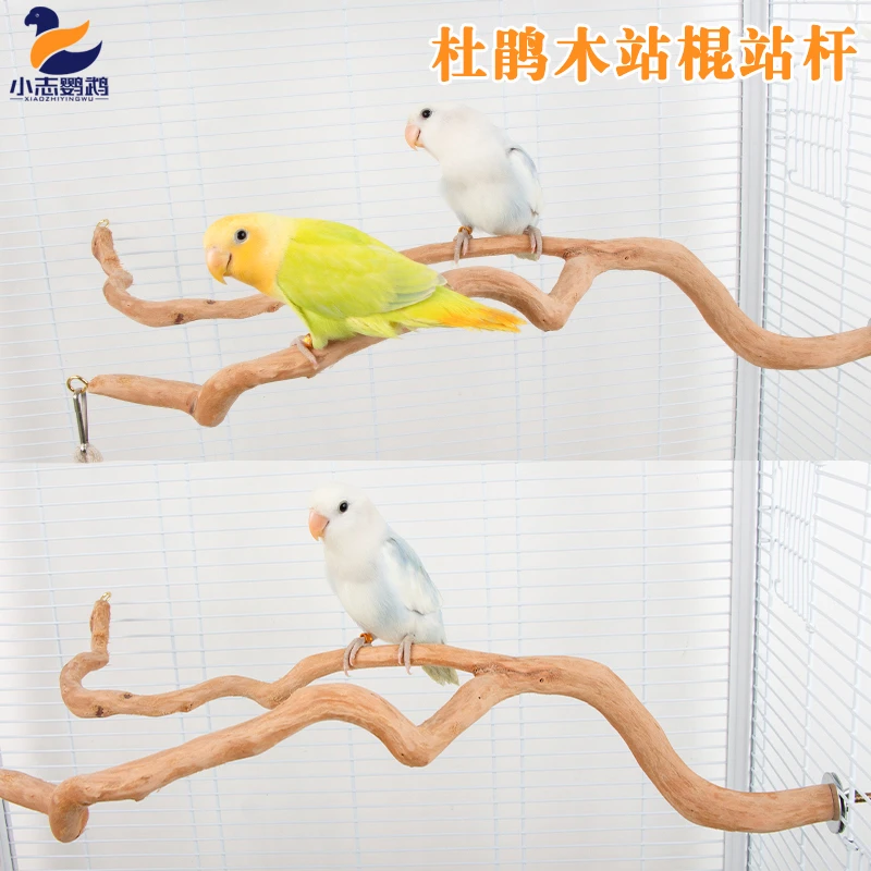 杜鹃木站杆虎皮牡丹玄风鹦鹉啃咬原木站杆八哥鸟笼站棍木站杆站架
