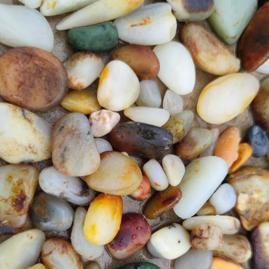 新疆奇石原石盆景石小籽直播间选购