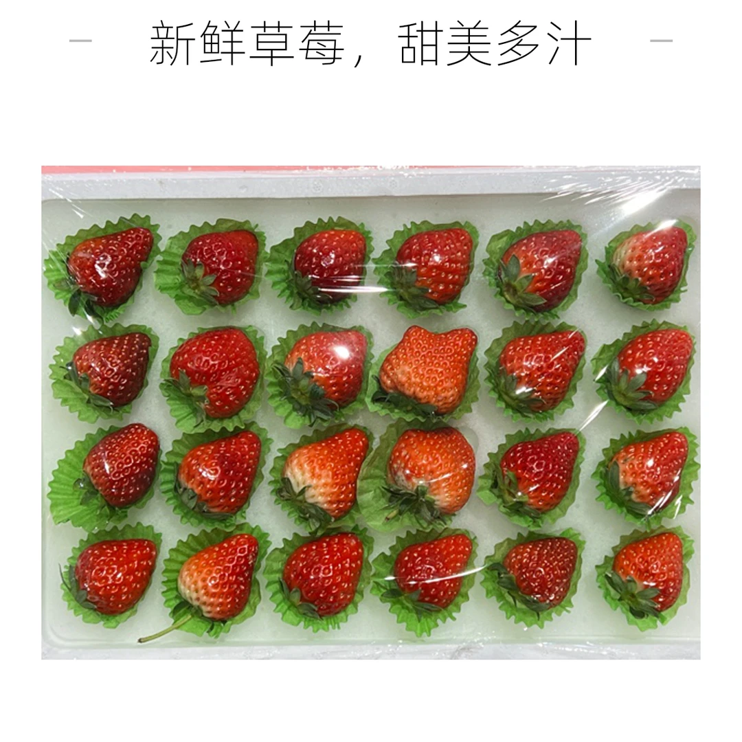 丹东九九草莓一板