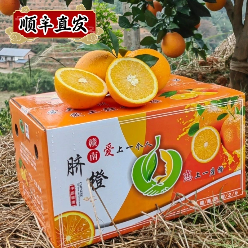（顺丰直发）赣南脐橙5斤装优质水果当季富硒香甜精美新鲜采摘水果