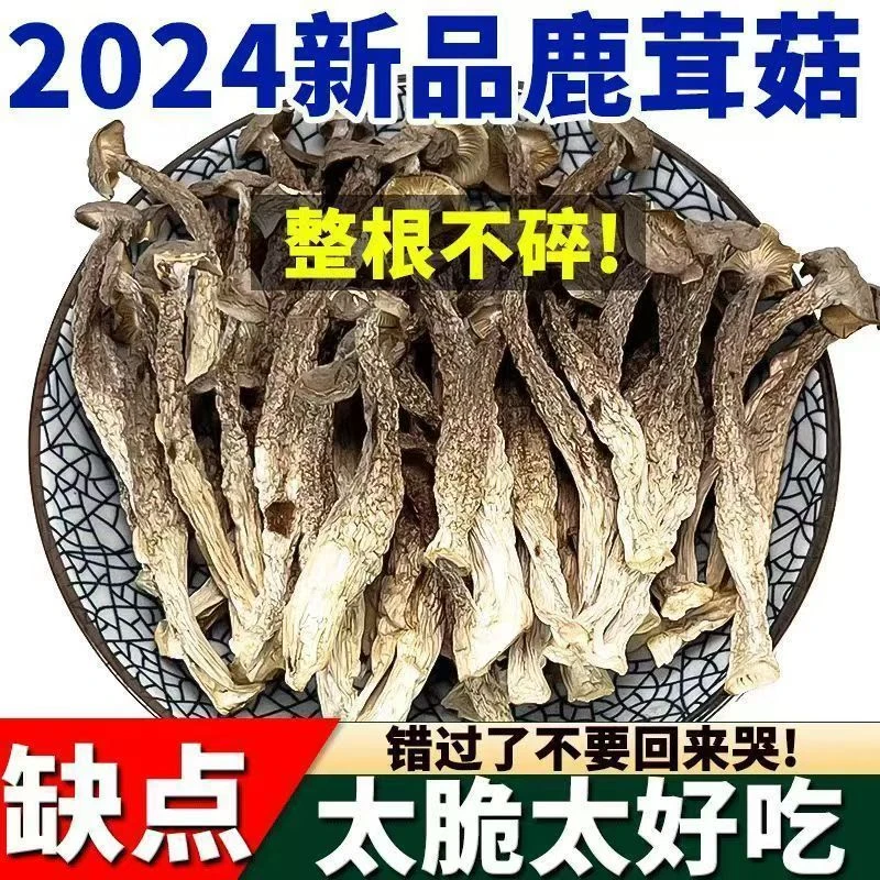 【净重优选】鹿茸菇干货云南特产鹿茸菌菇新货煲汤炒菜食用菌食材