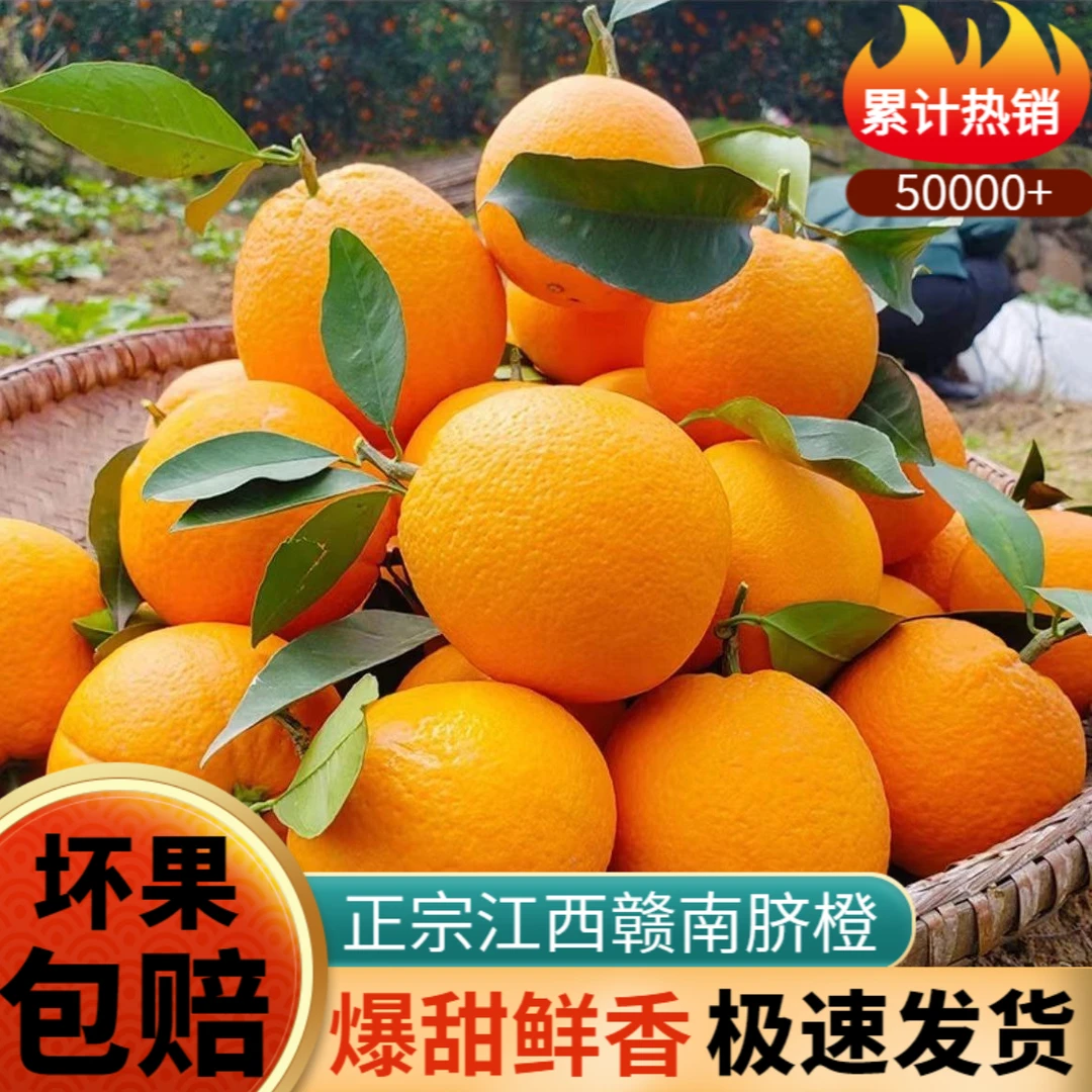 正宗赣南脐橙现采赣南橙子脐橙