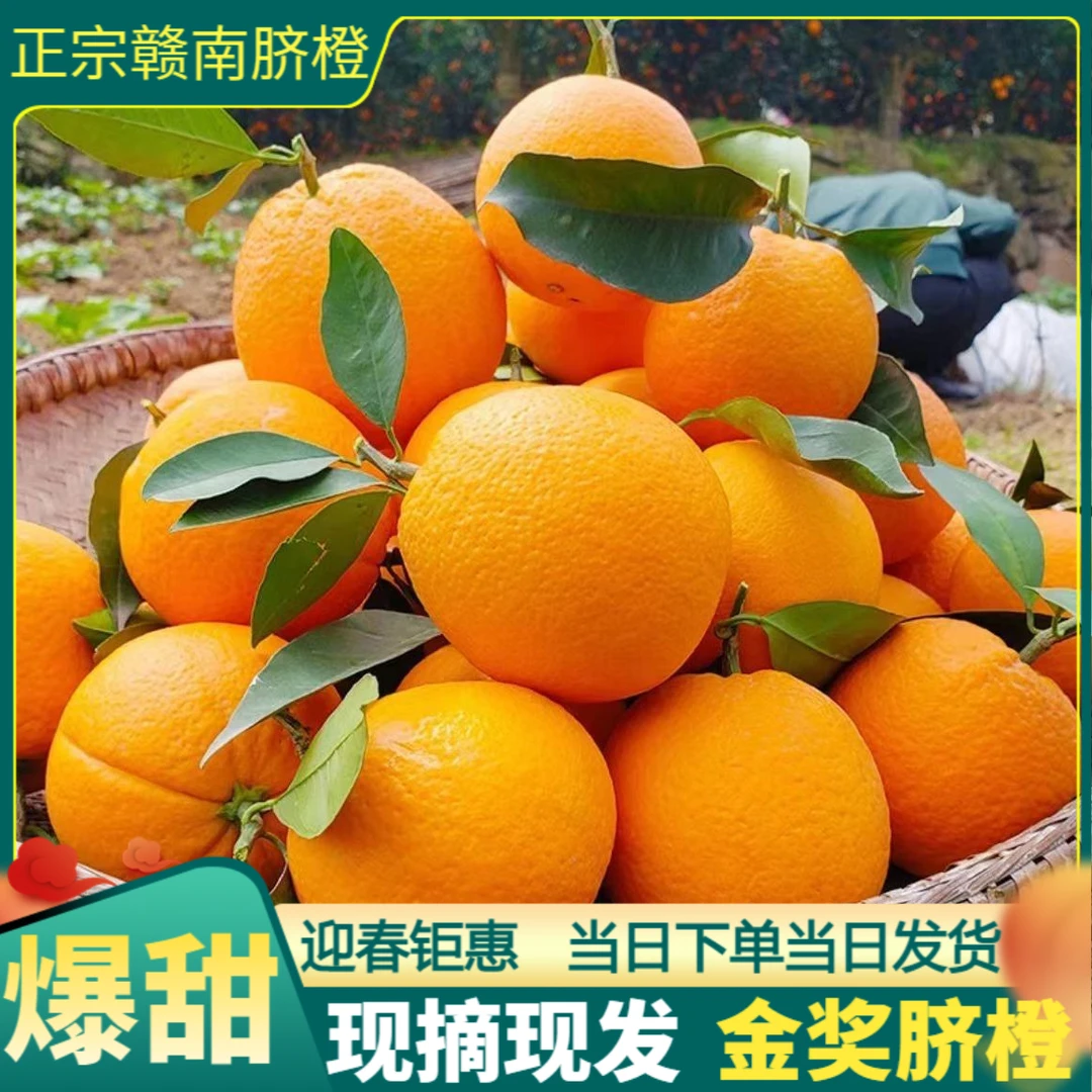 江西赣南新鲜脐橙新鲜赣南脐橙赣南江西赣南特产脐橙