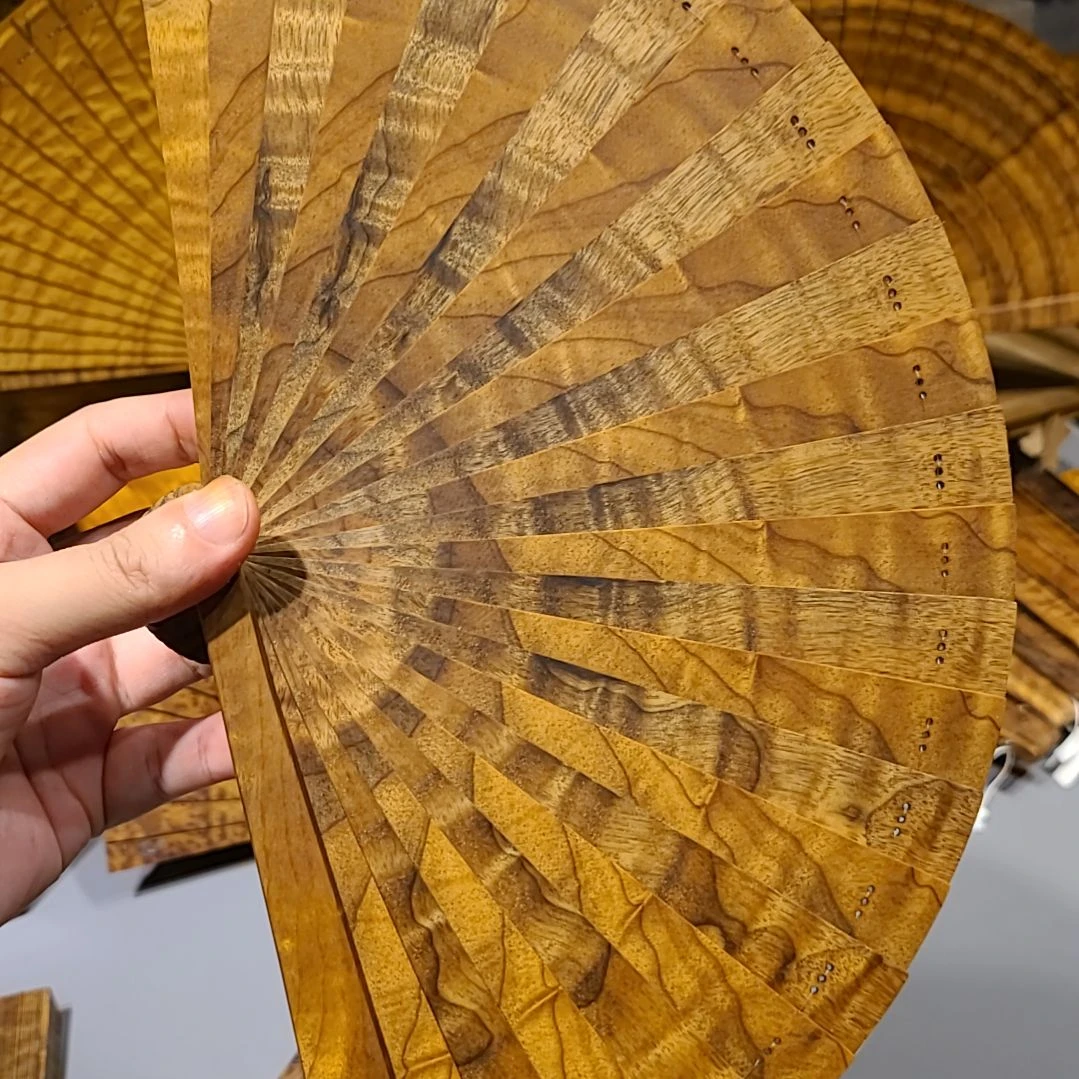 楠木18苏扇金丝楠木小叶桢楠