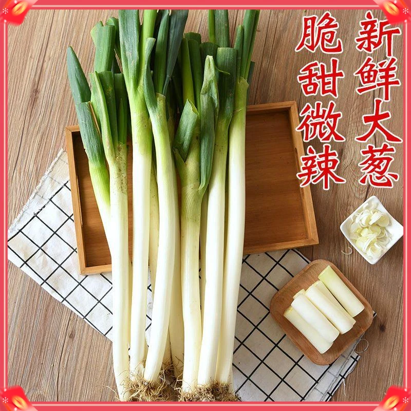 葱大葱山东大葱正宗山东大葱现挖现发新鲜蔬菜1斤切丝特价