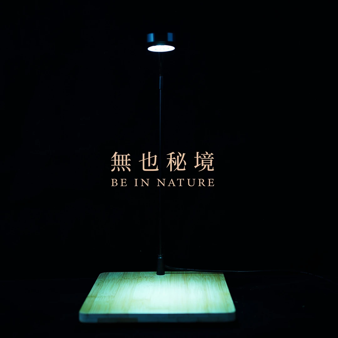 【真植物造景】植物灯—竹板材质家庭植物花卉专用补光灯3瓦