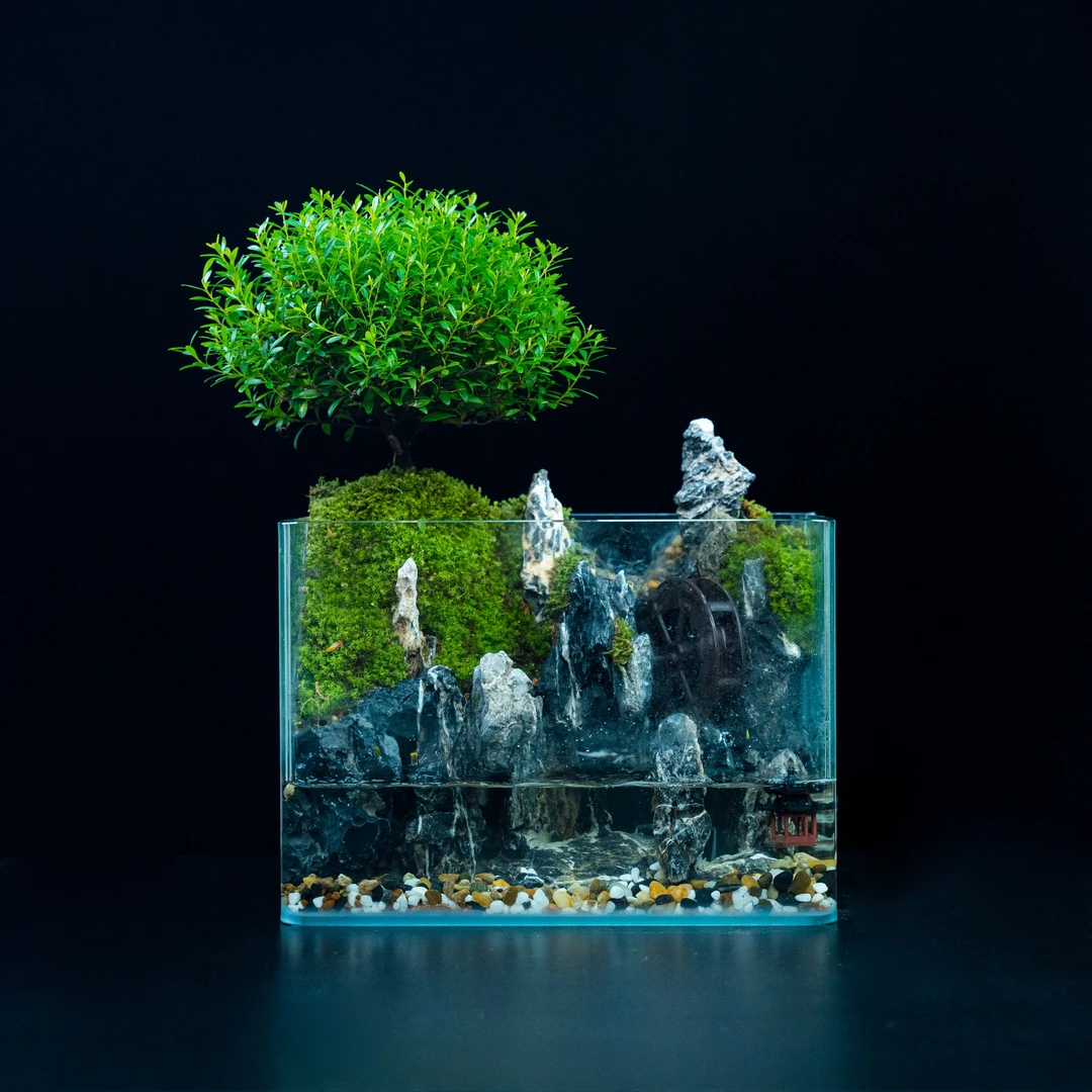【plus】渊壑-小叶赤楠成品创意绿植桌面微景观25*16*18cm