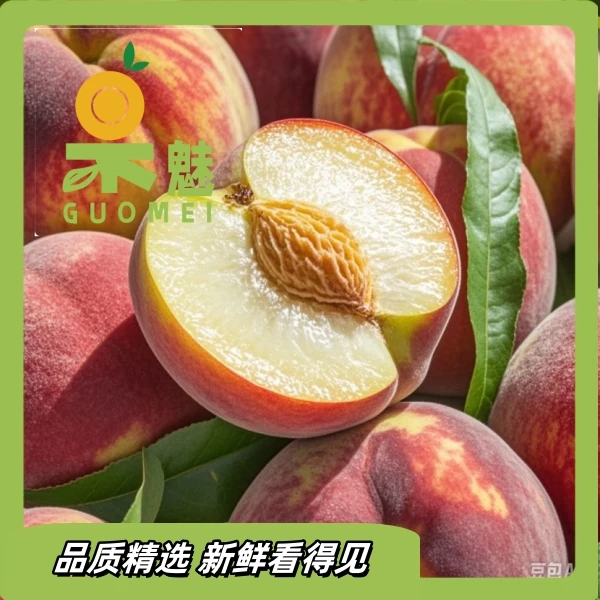 毛桃整果