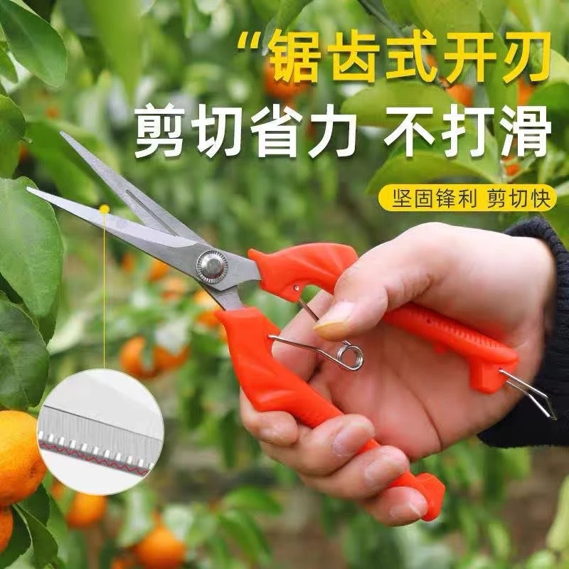 多功能疏花稀果剪苗圃剪花枝花椒剪子修花花艺剪刀大号家用专用
