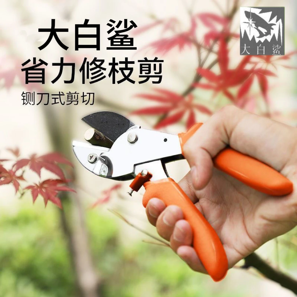 大号加厚锋利强力花枝家用园艺果树专用剪树枝剪刀