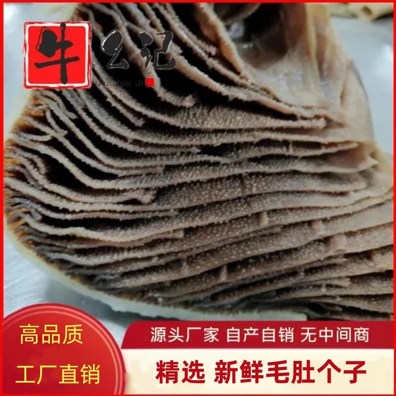 毛肚火锅新鲜包邮 火锅串串食材牛百叶牛肚千层肚重庆毛肚商用