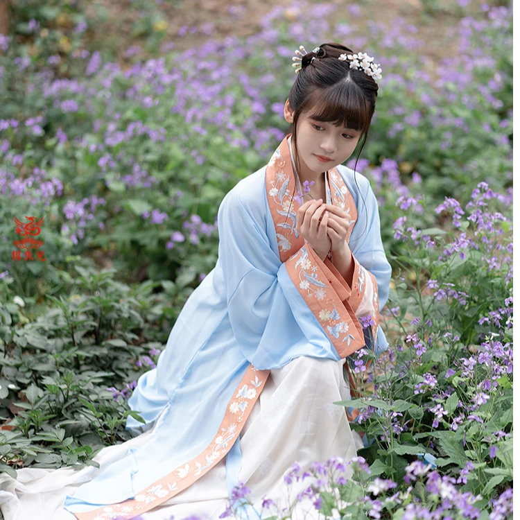 摸鱼儿宋制褙子 吊带 齐腰渐变半身裙女装刺绣印花春夏秋原创汉服