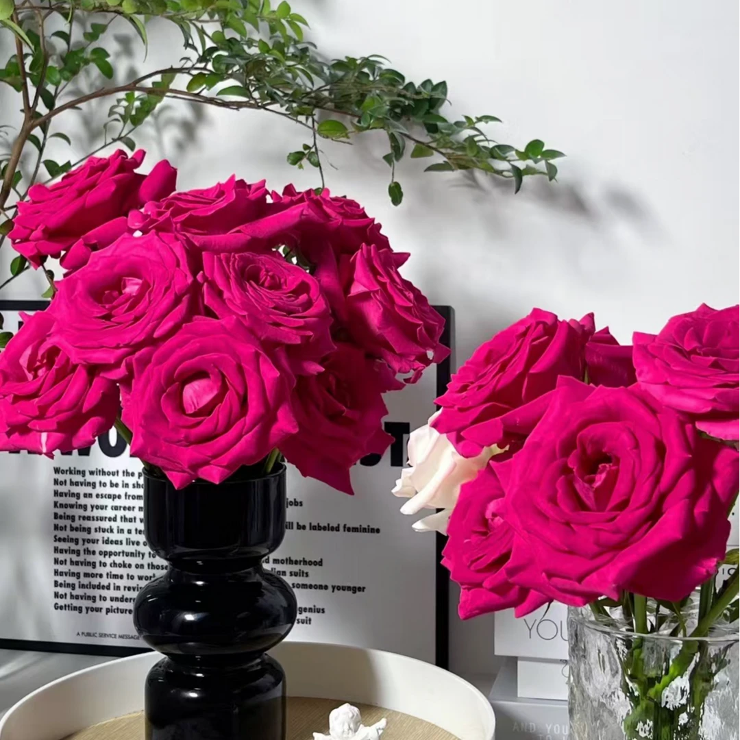 【弗洛伊德单头玫瑰】云南鲜花基地直发家用花材顺丰冷链发货