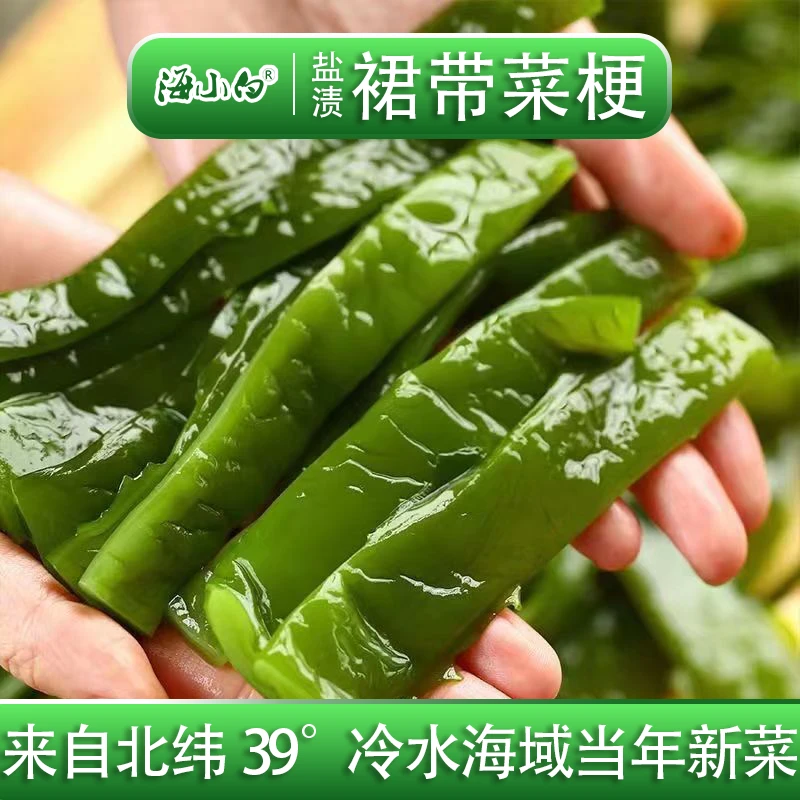 海白菜 净重3斤 裙带菜梗 爽脆鲜嫩 凉拌配菜煲汤盐渍出口新鲜